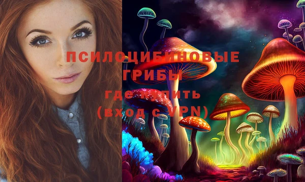 эйфоретик Елизово