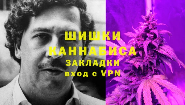 эйфоретик Елизово