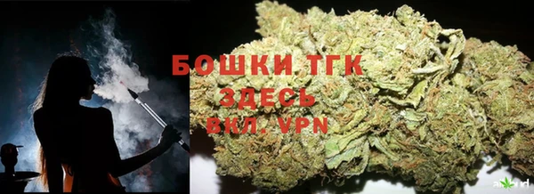 эйфоретик Елизово