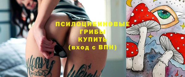 прущая мука Елабуга